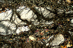 {short description of image}