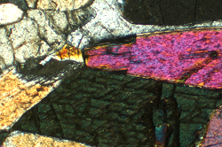 {short description of image}